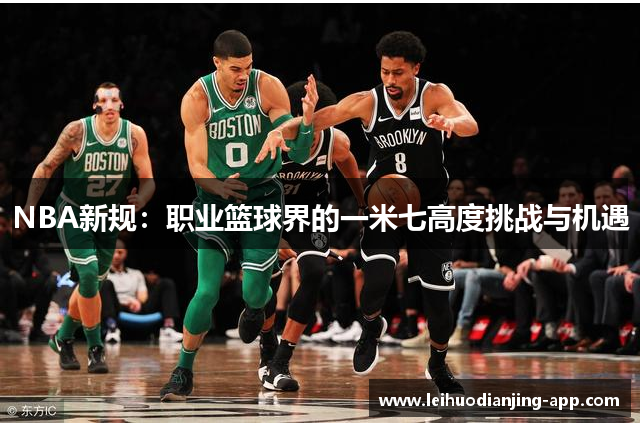 NBA新规：职业篮球界的一米七高度挑战与机遇