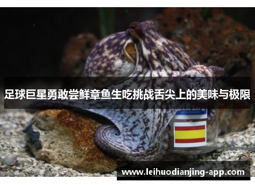 足球巨星勇敢尝鲜章鱼生吃挑战舌尖上的美味与极限